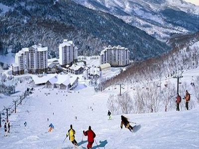 【飆雪韓流趣】繽紛滑雪趣+樂天世界+採草莓+塗鴉秀五日(午午)