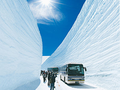 【雪壁絕景】升等名古屋王子.立山黑部五日