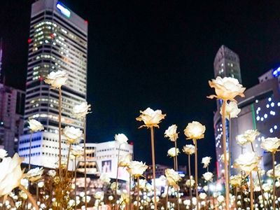 行程照片