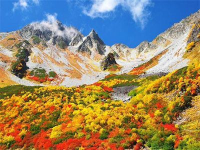 【北陸特惠選】五日(松松)
