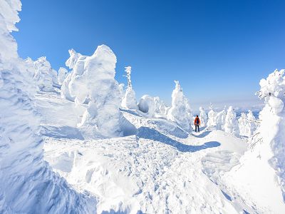 星宇航空【東北天空雪怪之路~藏王樹冰三溫泉6日】雪中狐狸樂園藏王狐狸村豐洲千客萬來會津若松城阿信的故鄉銀山溫泉水戶偕樂園.雪樂園