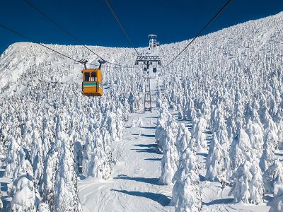 【東北藏王樹冰~藏王狐狸村兩晚溫泉美食5日】雪樂園無限暢玩銀山溫泉街江戶風情大內宿日本三大名園水戶偕樂園豬苗代湖