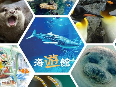 【大阪雙樂園~環球影城海游館玩雪5日】六甲山雪盆體驗世界遺產清水寺達摩不倒翁勝尾寺嵐山渡月橋奈良神鹿公園螃蟹.國產牛吃到飽