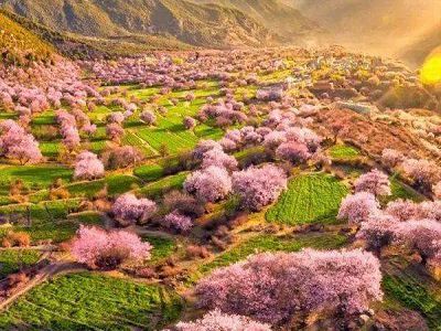 ¡iªá¶}¦èÂêLªÛ®çªá¡j«eÂæZÂÃ¤é³Ø«h¥¬¹F©Ô®c«CÂÃÅK¸ô¤å¤Æ¥æ¬y¦Ò¹î12¤é(¤t¯è)