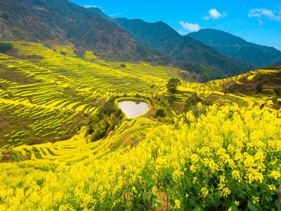 【花開江西婺源油菜花海】夢幻望仙谷仙境葛仙村網紅靈山天梯弦高古城文化交流考察8日(國航)