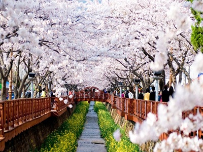 ¡i°y¤sÂí®ü½àÄå²½¤¤é¤£¶i¤Hçx+«O¨x©±¡jEWORLD¬P¥úÄåªá¸`Âí®üx´ä¸`½àÄå¤ÑªÅ½¦Ån¦C¨®ªø¸}ÃɦY¨ì¹¡¤Éµ¥¤J¦í¤ªá°s©±