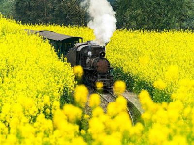 ¡iªá¶}Âêʱ¡¹Å¶§¤p¤õ¨®ªoµæªá®ü¡jª÷¤t±ùªá·¾Äá¼v¤Ñ°ó·s³£¾ô±d©w¤ì®æ±¹¤å¤Æ¥æ¬y¦Ò¹î8¤é(¤t¯è)