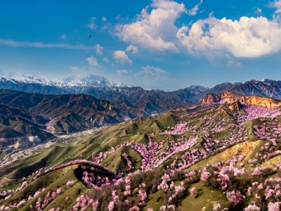 ¡iªá¶}¥_æ¦Rº¸®Ú§öªá¡j³Ø¯Ç´µ¥Ý¤ì§øÁɸ̤ì´òÀN«°ºÖ¹Ø¤s¤å¤Æ¥æ¬y¦Ò¹î10¤é(°ê¯è)