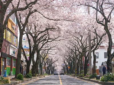 ¡iÀÙ¦{ªá©u¼y¨å¤¤é¤£¶i¤Hçx+«O¨x©±¡j¤Éµ¥¤@±ß¤¬P¸U»¨°s©±¤û®q¤§®È¤ô¤§¤Û¹ÒWaterworld¨å¹A¸ôÄåªá¤j¹D¯«¸Ü¥@¬É¼Ö¶é¼ê¬£®üÂAÁç