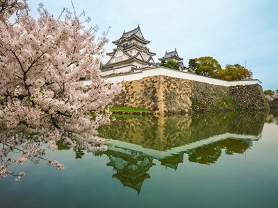 【賞櫻列車之花見之旅~京都大阪5日】清水寺嵐山渡月橋哲學之道京都御苑毛馬櫻之宮公園五月山公園日清泡麵館加碼升等1晚溫泉飯店