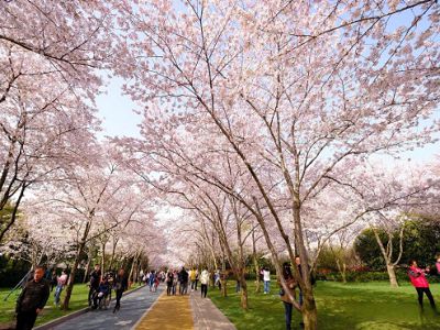 【花樣江南經典三古鎮】濮院時尚古鎮漫步西湖星海君瀾足浴文化交流考察5日