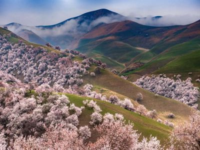 ¡iªá¶}¥_æ¦Rº¸®Ú§öªá¡j³Ø¯Ç´µ¥Ý¤ì§øÁɸ̤ì´òÀN«°ºÖ¹Ø¤s¤å¤Æ¥æ¬y¦Ò¹î13¤é(®ü¯è)