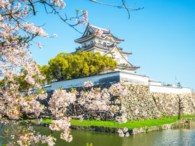 【賞櫻花見之旅~京都大阪5日】清水寺嵐山渡月橋哲學之道京都御苑毛馬櫻之宮公園五月山公園日清泡麵館加碼升等1晚溫泉飯店