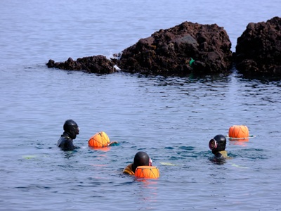 ¡i¦w§¬¶§¥úÀÙ¦{¤¤é¤£¶i¤Hçx+«O¨x¡j¤Éµ¥¤¬P¯«¸Ü°s©±¡U¯«¸Ü¥DÃD¼Ö¶é¡U¤û®q¥X®ü¡U¥|©u½àªá¡U¼Ú¦¡´ËªL¤p¤õ¨®