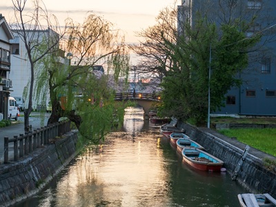 星宇【九州FUN風暑假親子團~動物園+水族館三大蟹美食5日】柳川遊船啤酒工廠萌熊電車海洋世界湯布院海地獄