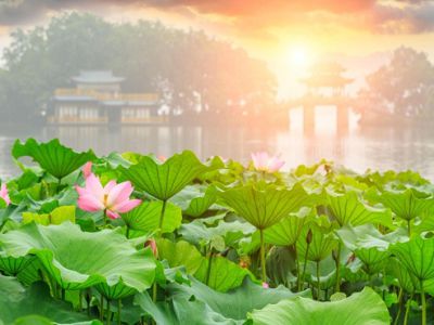 【甜蜜一夏美爵饗宴江南】浪漫烏鎮住一晚水墨紹興西湖荷你有約文化交流考察6日(國航)