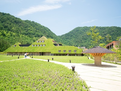 泰越捷【大阪雙樂園暑期限定~環球影城須磨海洋世界關西海陸樂園5日】近江八幡天橋立纜車伊根灣遊船