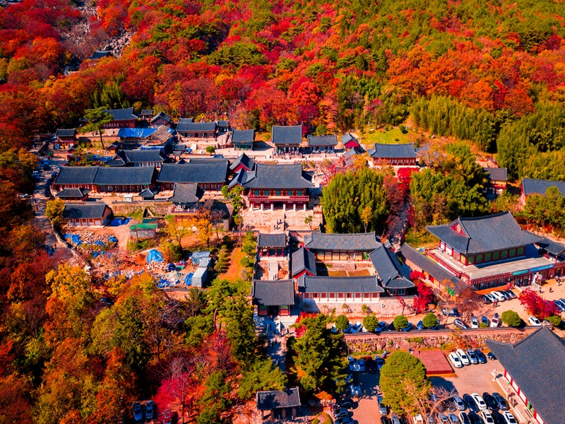 【安妞楓趣釜山四日不進人蔘保肝店】梵魚寺賞楓金井山纜車塗鴉秀彩虹膠囊列車白淺灘文化村松島天空步道