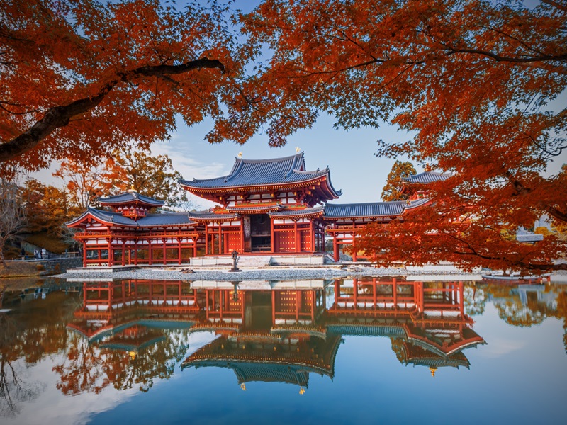 星宇【大阪三都精選之旅奈良鹿國產牛吃到飽超值休閒5日】嵐山渡月橋清水寺伏見稻荷大社奈良鹿公園平等院抹茶表參道