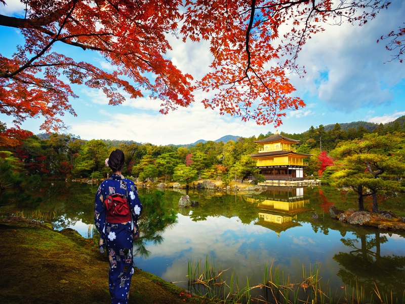 星宇【詩意關西賞楓季5日】有馬空中纜車近江八幡遊船石山寺紅葉螃蟹國產牛