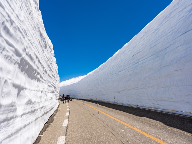 星宇大阪【雪之奇景立山黑部白川鄉合掌村北陸秘境5日】上高地金澤兼六園童話草屋黑壁廣場飛驒牛