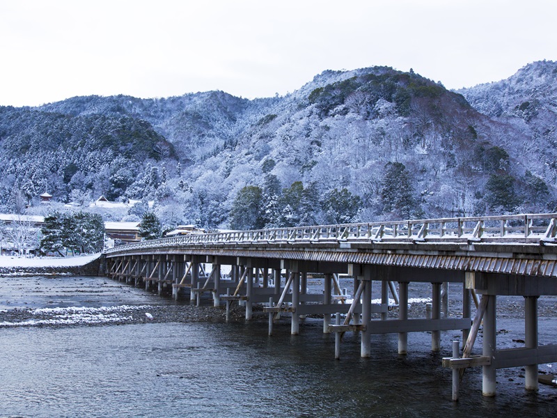 星宇【過年限定大阪夢幻樹冰纜車玩雪國產牛吃到飽5日】御在所岳纜車平等院伏見稻荷大社嵐山渡月橋清水寺